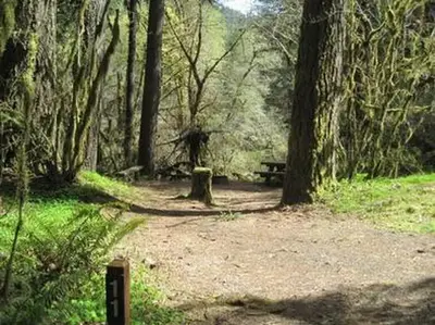 Fernview Group Site