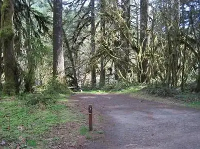 Fernview Group Site