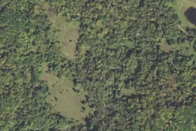 Dry Creek Hollow