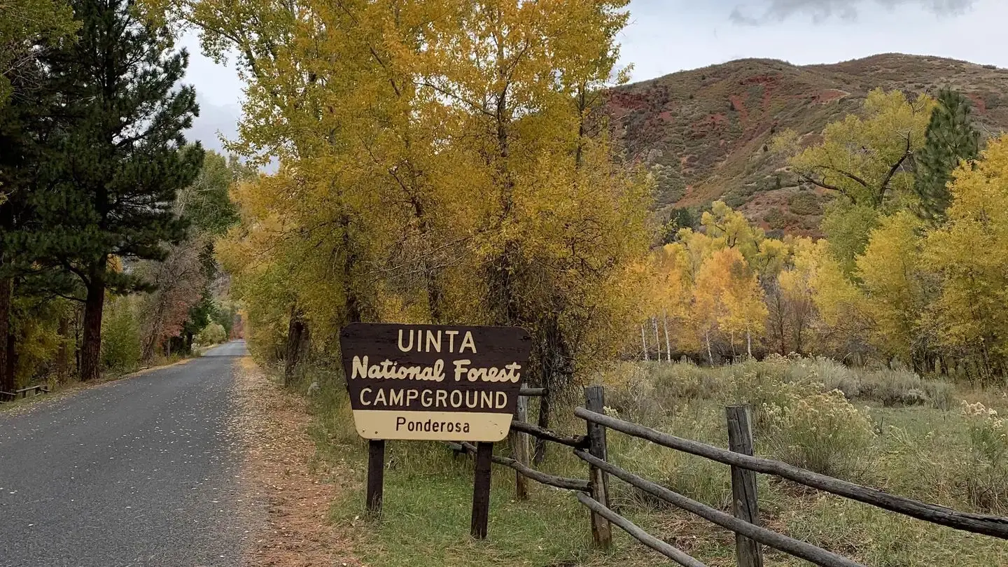 Ponderosa Uinta Campground