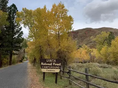 Ponderosa Uinta Campground