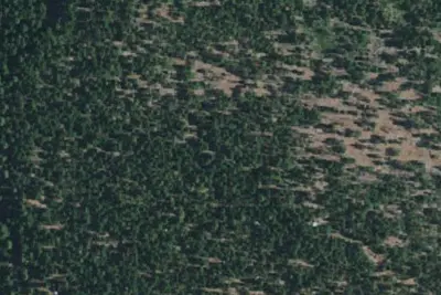 Johnson Park, CA Site 91