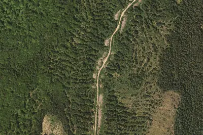 Camp site
