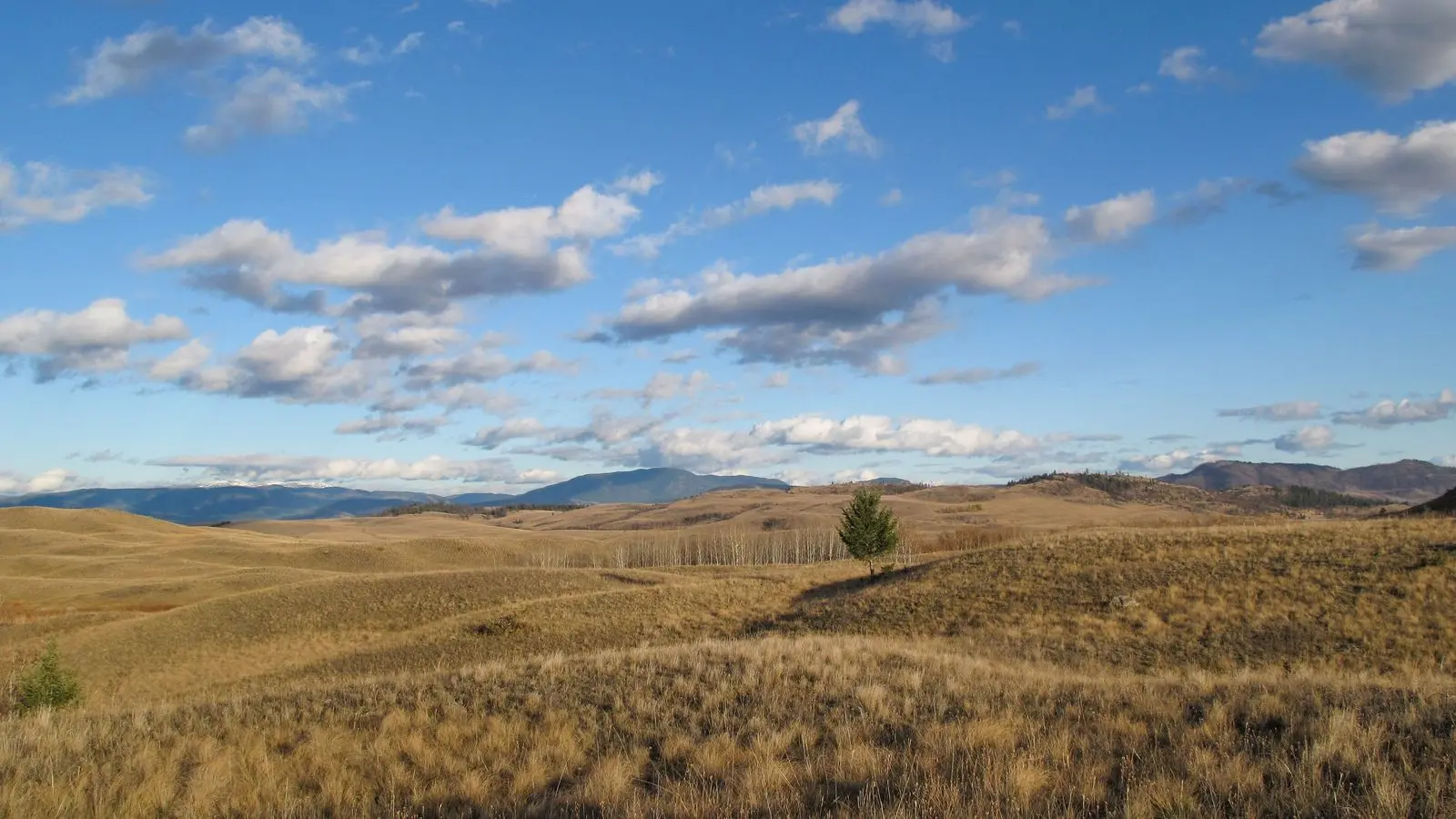 Photo of Lac du Bois Grasslands Protected Area
