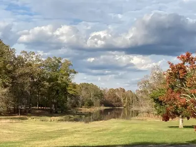 Scenic view of the water.