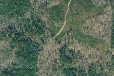 Camp site