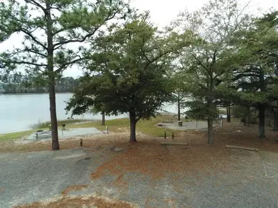 Two primitive campsites with parking in foreground and lake in background.
