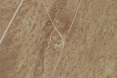 BLM Corral