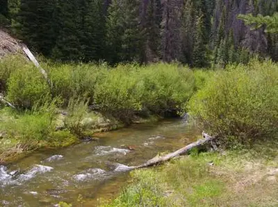 Huntington Creek