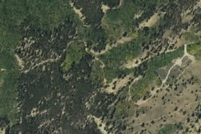 Camp site