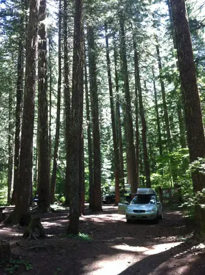 Eugene-Springfield, OR, OR, USA - panoramio (1)