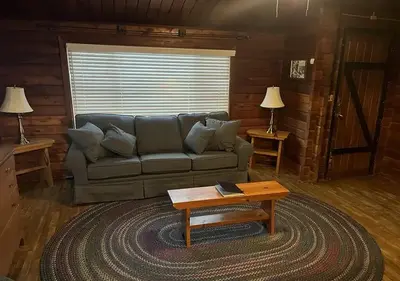 Living room with pull-out couch