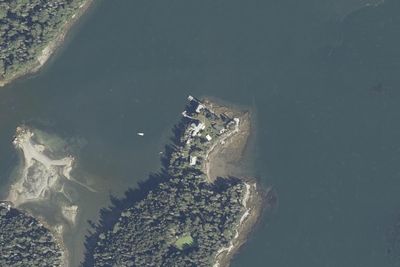 Hog Island Audubon Camp