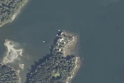 Hog Island Audubon Camp