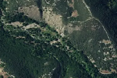 Upper Piney