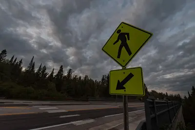 Highway 61 Pedestrian Crossing Sign (37446733692)