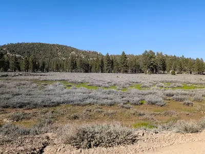 Big Bear Gold Fever Trail - 53729064043