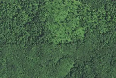 Hoffman's Hills