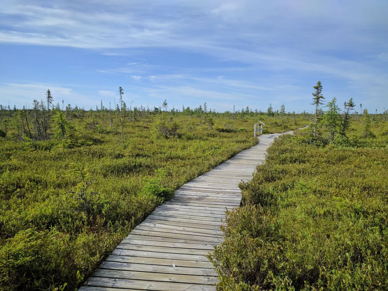 Photo of Kouchibouguac National Park