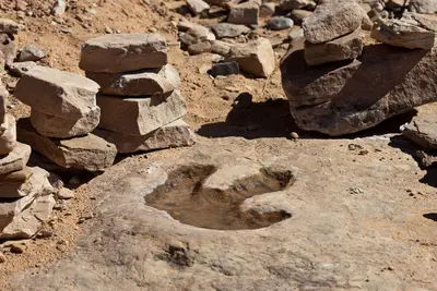 Dinosaur footprint (4056320716)