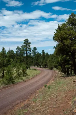 Flagstaff Scenery near FR 522 - panoramio (1)
