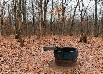 Campground firepit, Wild River State Park, Minnesota (45476263224)