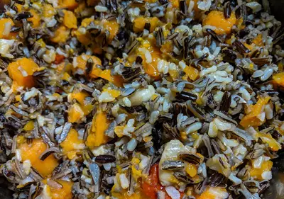 Wild Rice in the Instant Pot (46195389775)