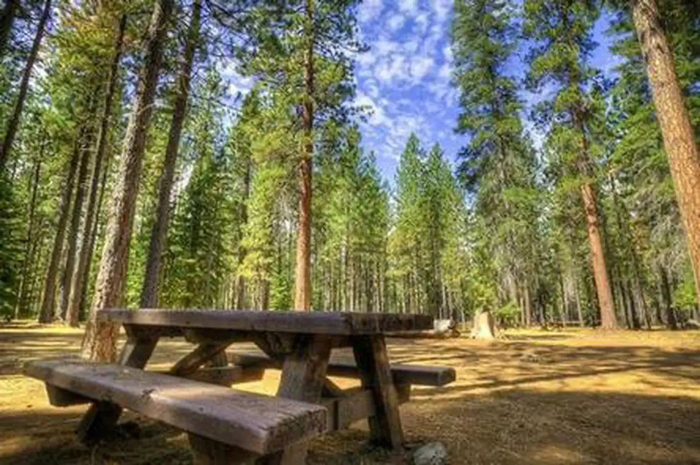 Jack Creek Campground