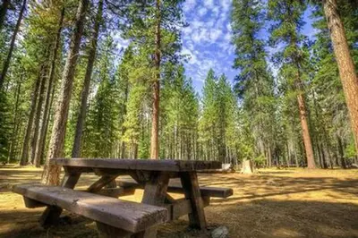 Jack Creek Campground