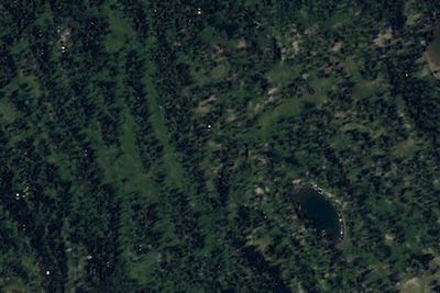 Camp site