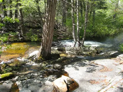 Tiltill Creek as it enters Tiltill Valley — near the best camping site in Tiltill Valley - panoramio