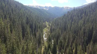 Landscapes on the Idaho Panhandle National Forests (26569507238)