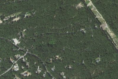 Wellfleet Hollow State Campground