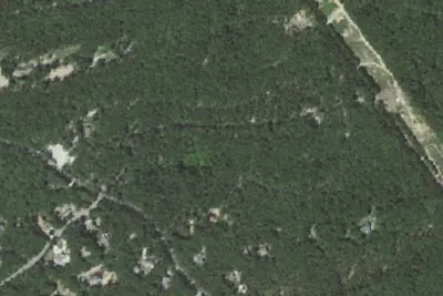 Wellfleet Hollow State Campground