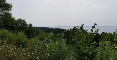 The Headlands International Dark Sky Park - Coast View