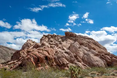 Gold Butte National Monument - 50508172591