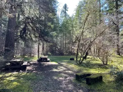 Two wooden picnic tables and two stone fire pits in a shaded, grassy area.
