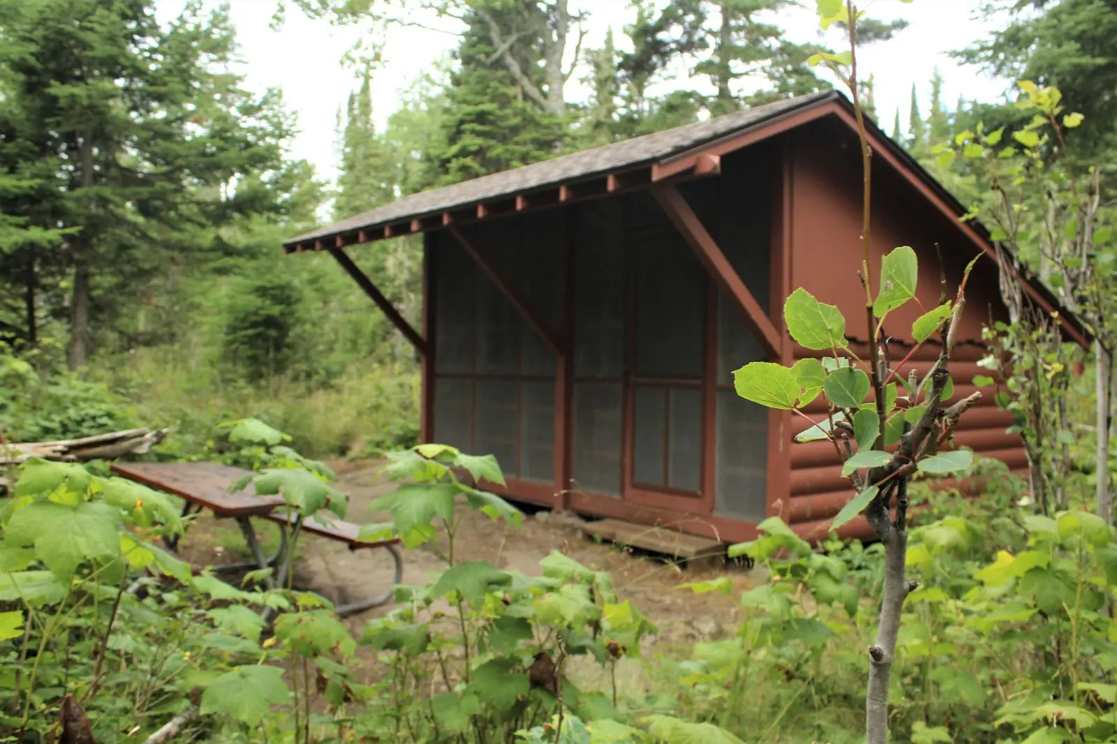 Rock Harbor Campground Shelter #3