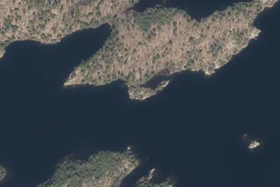 Site 65