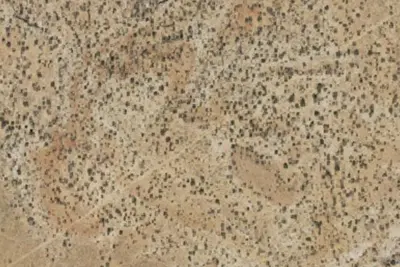 Camp site