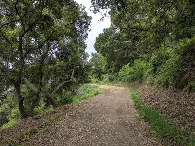 Hiking trail on Angel Island 1