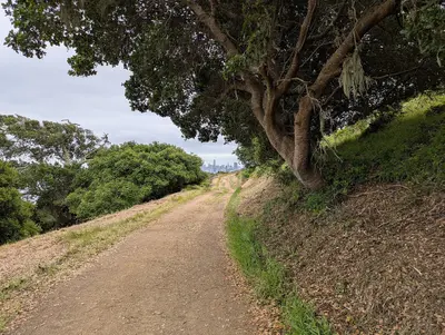 Hiking trail on Angel Island 2