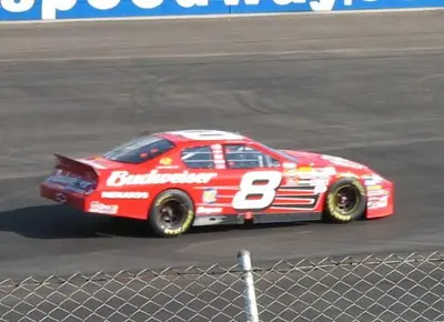 Dale Jr. (269191422)