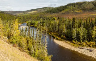 Río South Fork, Chicken, Alaska, Estados Unidos, 2017-08-28, DD 87