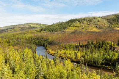 Río South Fork, Chicken, Alaska, Estados Unidos, 2017-08-28, DD 92
