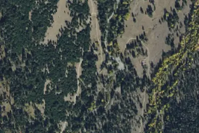 Cottonwood01