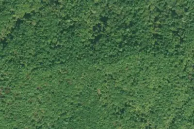 Camp site