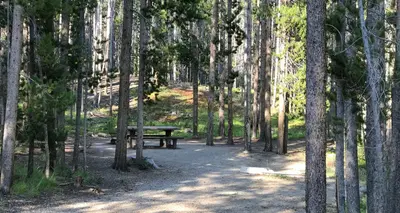 picnic table in campsite in wooded area