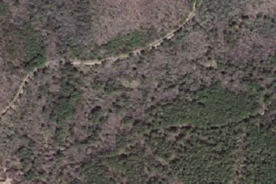 Camp site