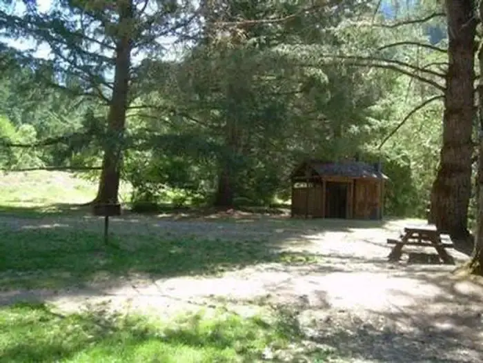 Picnic table and vault toilet in sun dappled pine forest.